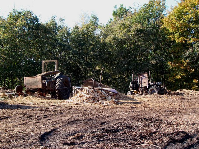 Sägewerksmaschinen im Grantley Saw Mill mit Kreissägen und Antriebswellen zur Holzverarbeitung